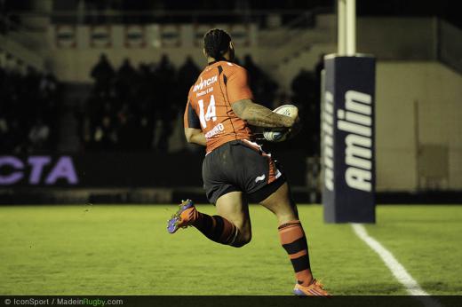 Amlin Cup : Amlin Cup - Toulon affrontera le Stade Français en demi-finale