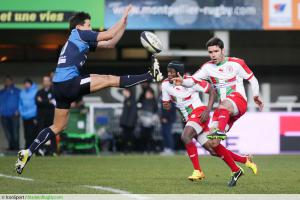 Biarritz - Yachvili : 'J'ai beaucoup appris à le regarder jouer'