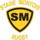 Stade Montois