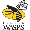 Wasps